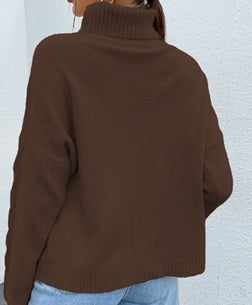Turtleneck Sweater